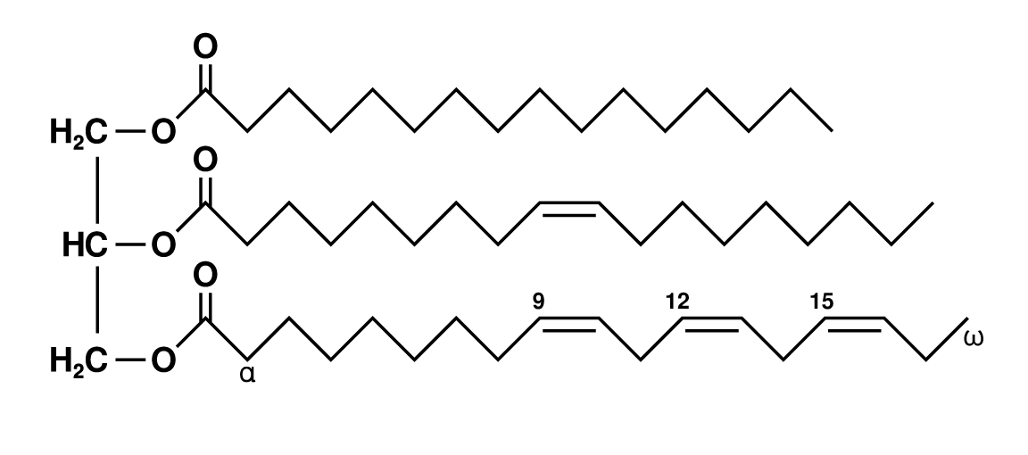 Fat_triglyceride_shorthand_formula.png